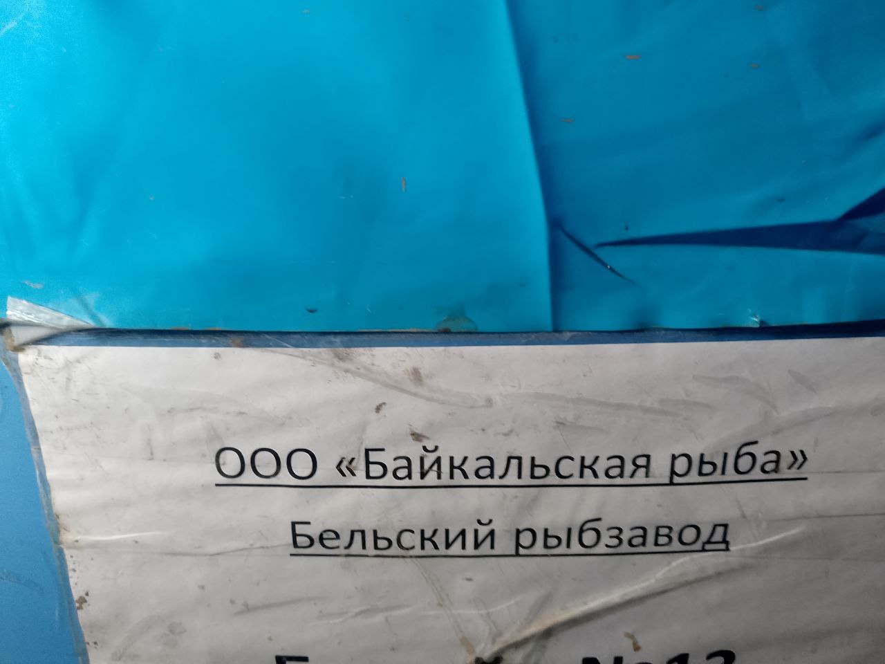Восьмиклассники открывают для себя профессию рыбовода! Восьмиклассники открывают для себя профессию рыбовода!.